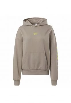 Reebok Classic SUPERNATURAL Sweat à Capuche Grey Femme -Reebok Classic Soldes Magasin 0f1b1e13f55049ff9648fce5e7903080
