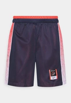 Reebok Classic IVERSON BALL Short Vector Navy Homme 9 Reebok Classic IVERSON BALL Short Vector Navy Homme -Reebok Classic Soldes Magasin 9308be0e00934583b72128b1db95c4c3